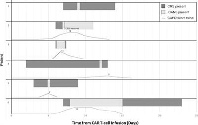Immune Effector Cell Associated Neurotoxicity (ICANS) in Pediatric and Young Adult Patients Following Chimeric Antigen Receptor (CAR) T-Cell Therapy: Can We Optimize Early Diagnosis?